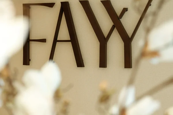 Fayy Health TELECONSULTATIONS.jpg